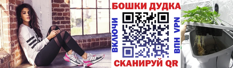 Наркошоп купить Галлюциногенные грибы  Меф  СК  Дмитриев