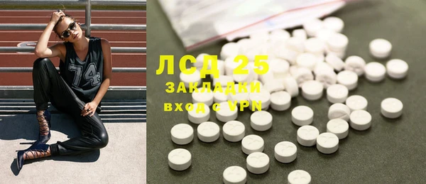 ПСИЛОЦИБИНОВЫЕ ГРИБЫ Магас