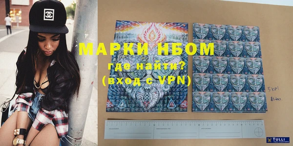ПСИЛОЦИБИНОВЫЕ ГРИБЫ Магас