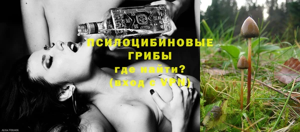 ПСИЛОЦИБИНОВЫЕ ГРИБЫ Магас