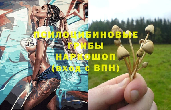 мдпв Майский